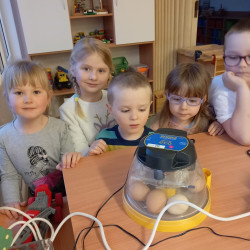 Líhnutí kuřátek u nás ve školce