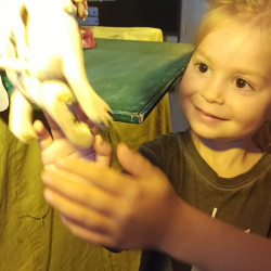 Foto