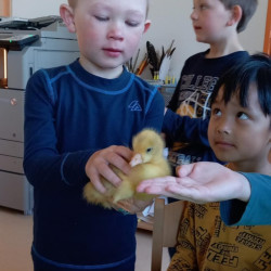 Foto